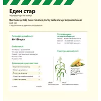 Семена кукурузы Эден Стар Euralis semences
