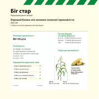 Семена кукурузы Биг Стар Euralis semences
