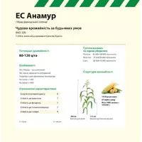 Семена кукурузы Анамур Euralis semences